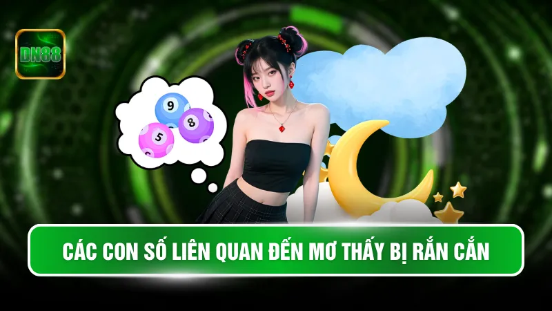 Các con số liên quan đến mơ thấy bị rắn cắn