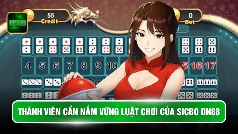 Thành viên cần nắm vững luật chơi của Sicbo DN88